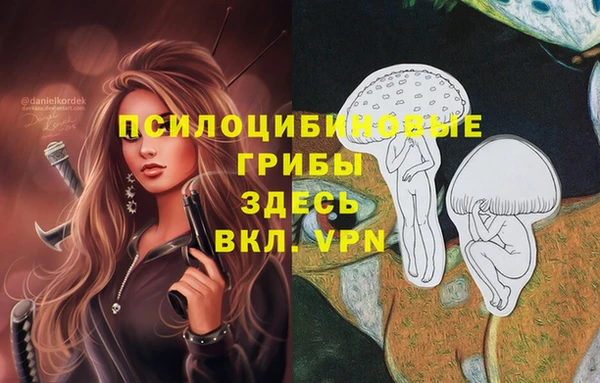 mdpv Магас