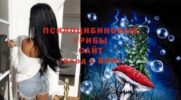 mdpv Магас