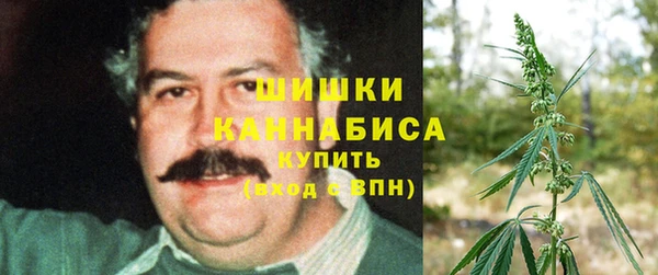 mdpv Магас