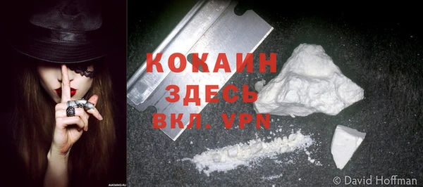 mdpv Магас