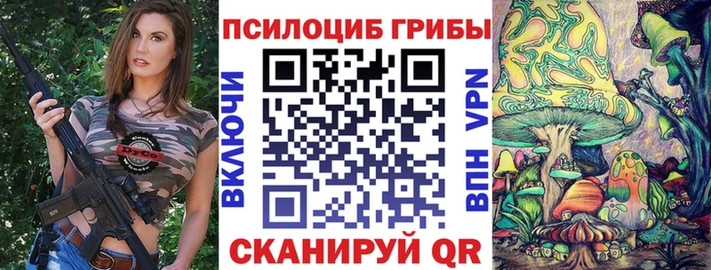 Купить где  Юрьевец  Псилоцибиновые грибы Magic Shrooms 